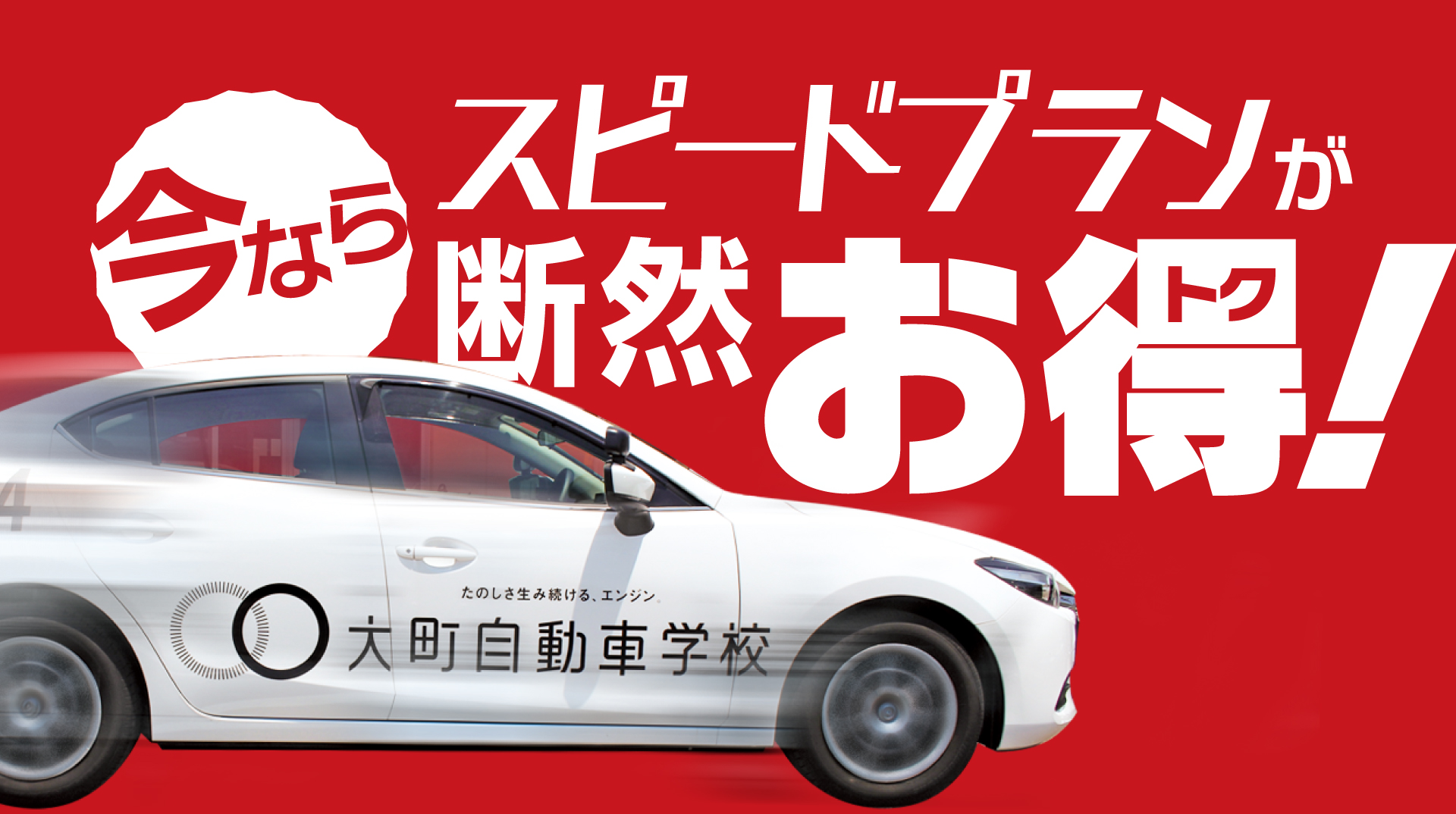 今ならスピードプランが断然お得!