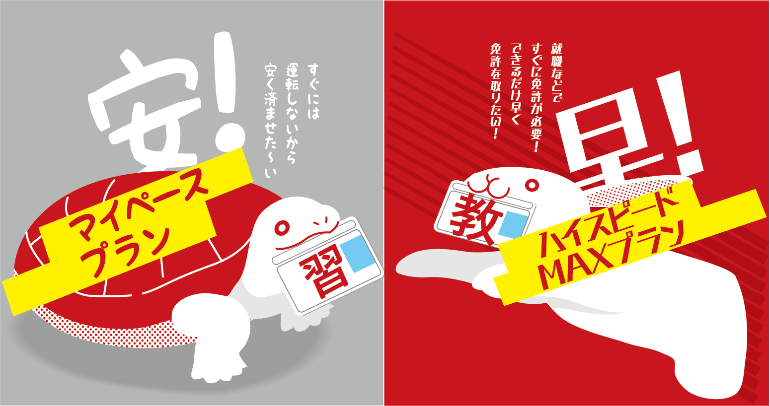 選べる2つのプラン マイペース ハイスピードmax で免許取得を目指そう 佐賀 大町自動車学校